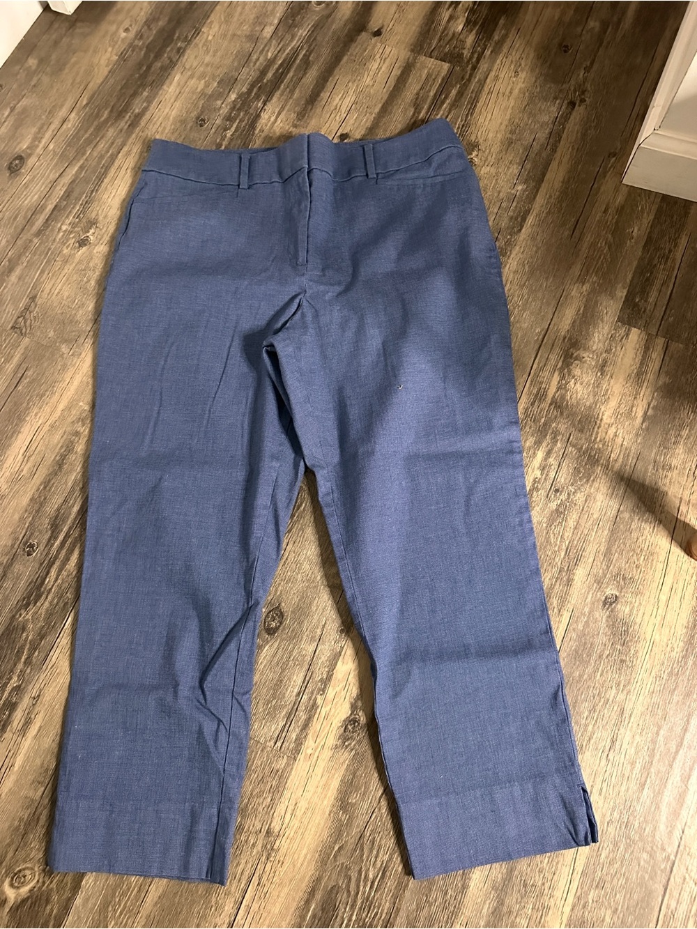 LOFT Women's Straight Leg Blue Pants 12 Curvy